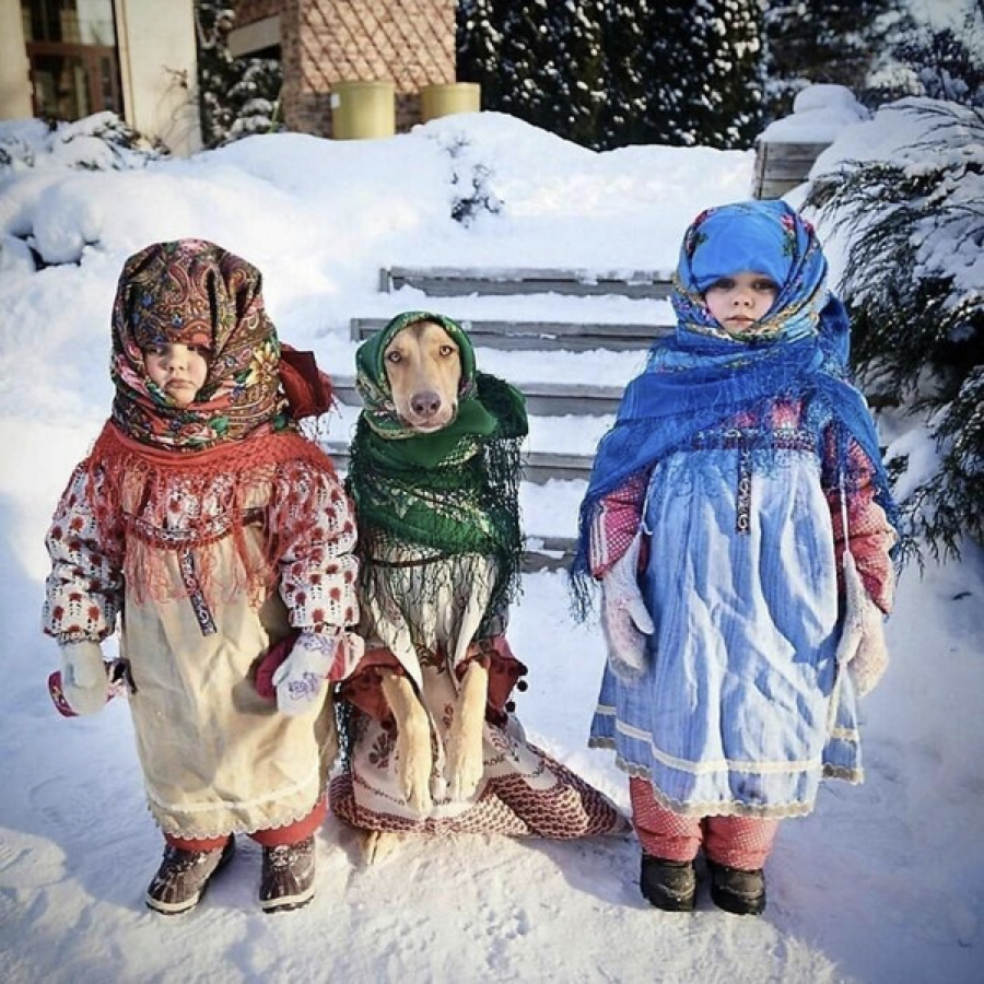 Классика жанра 