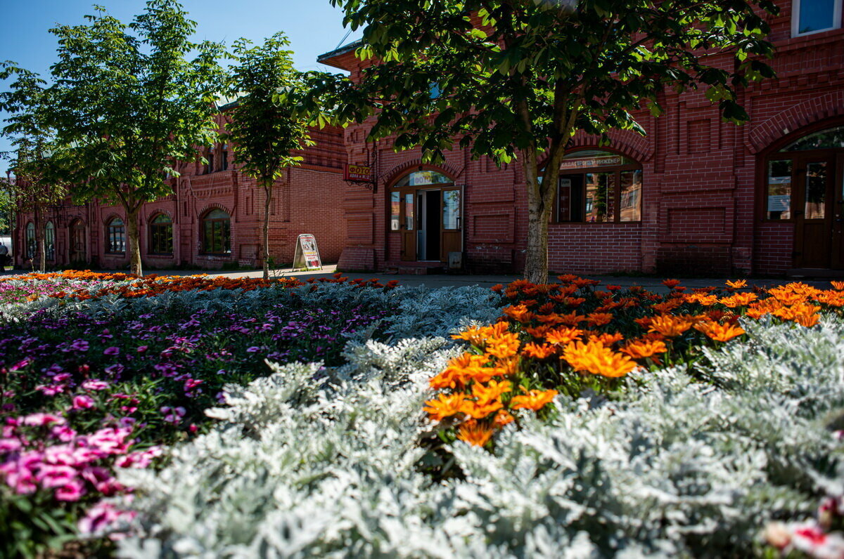 Добавьте описание