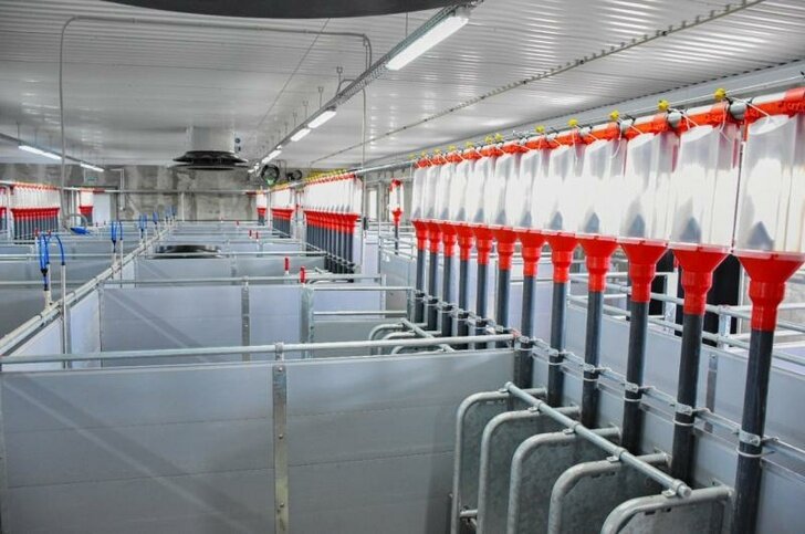      © Фото из открытых источников