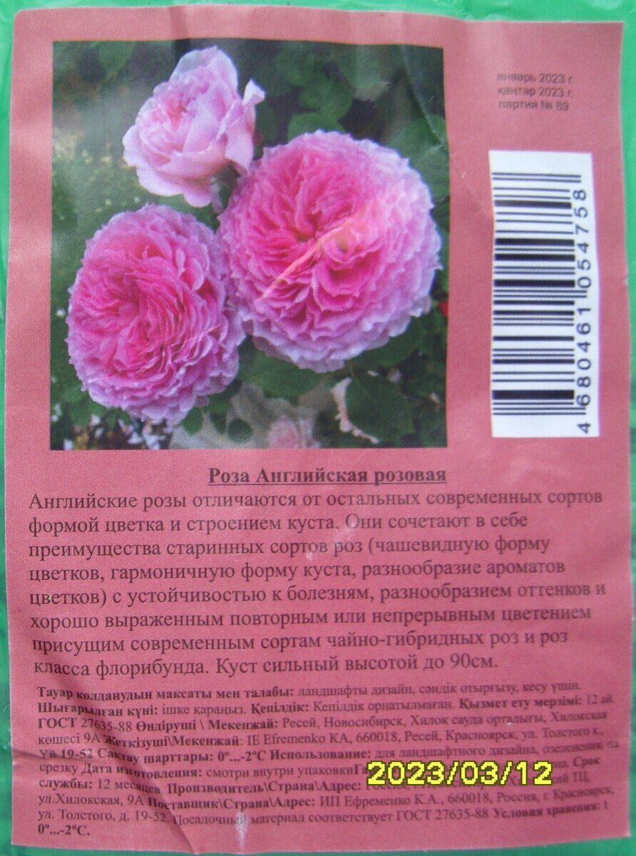 Этикетка на саженце розы Английская розовая