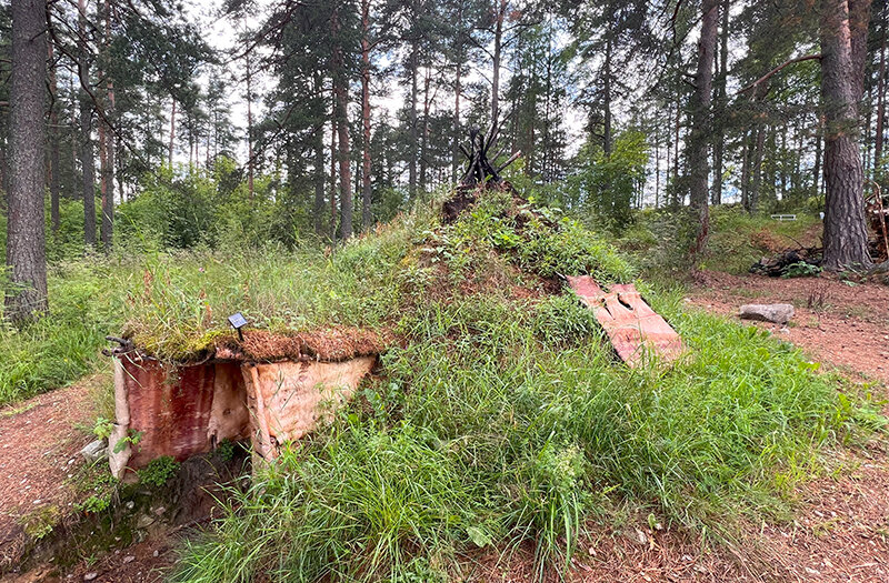 Новосибирский палеонтолог воссоздал жилище древнего человека (фото) - 20 мая - obuhuchete.ru