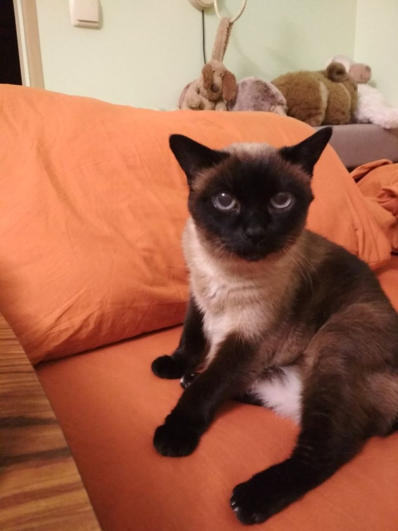 Симоне почти 20 лет