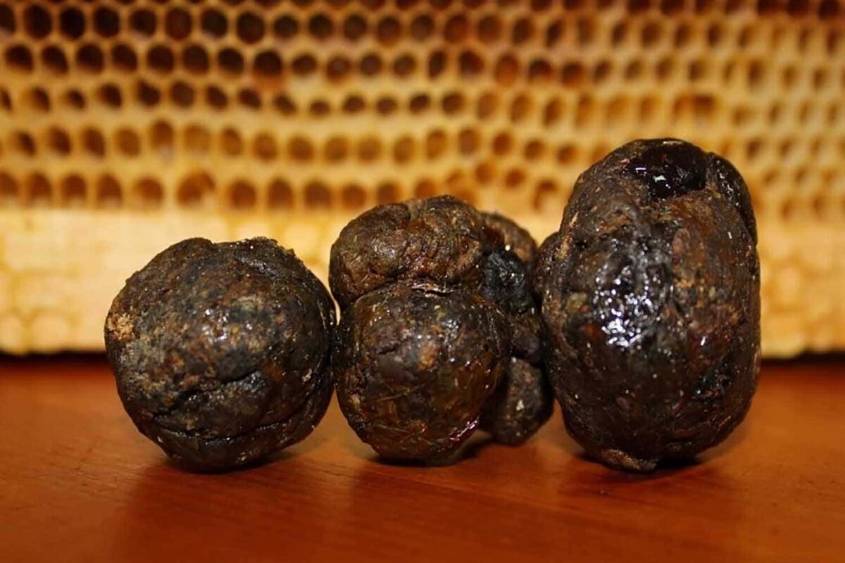 Прополис — это продукт пчеловодства, который используется в медицине для лечения различных заболеваний. Он обладает антибактериальными, противовоспалительными и иммуностимулирующими свойствами, а также улучшает кровообращение и обмен веществ.Химический состав прополиса:Флавоноиды: кверцетин, кемпферол, рутин, изорамнетин и другие.Фенольные кислоты: галловая, кофейная, хлорогеновая и другие.Альдегиды: пропилцитраль, изоборнеол и другие.Эфирные масла: мирцен, гераниол, линалоол и другие.Аминокислоты: лизин, триптофан, метионин и другие.Витамины: B1, B2, B3, B6, B9 и другие.Минералы: кальций, магний, калий, железо и другие.Прополис также содержит антиоксиданты, которые защищают клетки от повреждений свободными радикалами и замедляют процессы старения.Для чего применяется прополис?Прополис используется для лечения следующих заболеваний:- Простуда и грипп: прополис помогает уменьшить воспаление и боль в горле, улучшить дыхание и снизить температуру тела.- Заболевания дыхательных путей: прополис может помочь при кашле, бронхите и астме.- Желудочно-кишечные заболевания: прополис обладает антибактериальными и противовоспалительными свойствами, что может помочь при гастрите, язве желудка и других заболеваниях.- Кожные заболевания: прополис используется для лечения ран, ожогов, инфекций кожи и других заболеваний.- Стоматологические заболевания: прополис может использоваться для лечения кариеса, пародонтита и других проблем полости рта.- Иммунная система: прополис укрепляет иммунную систему и помогает бороться с инфекциями.- Сердечно-сосудистые заболевания: прополис улучшает кровообращение и снижает уровень холестерина в крови, что может предотвратить развитие сердечно-сосудистых заболеваний.Как применять прополис?Существует несколько способов применения прополиса в медицине:1. Ингаляции: прополис можно использовать для ингаляций при бронхите, астме и других заболеваниях дыхательных путей. Для этого нужно развести прополис в воде и дышать паром.2. Настойка: настойка прополиса - это концентрированный раствор прополиса, который можно использовать для полоскания горла при простуде и гриппе.3. Мази и кремы: прополис входит в состав многих мазей и кремов для лечения кожных заболеваний.4. Таблетки: прополис также можно использовать в виде таблеток для укрепления иммунной системы.5. Компрессы: прополис можно использовать в качестве компресса для лечения ран и ожогов.В любом случае, перед использованием прополиса необходимо проконсультироваться с врачом, так как он может иметь противопоказания или побочные эффекты.