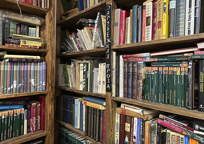    Как сочетается рациональное и иррациональное в творчестве, рассказала поэт Елена Янушевская