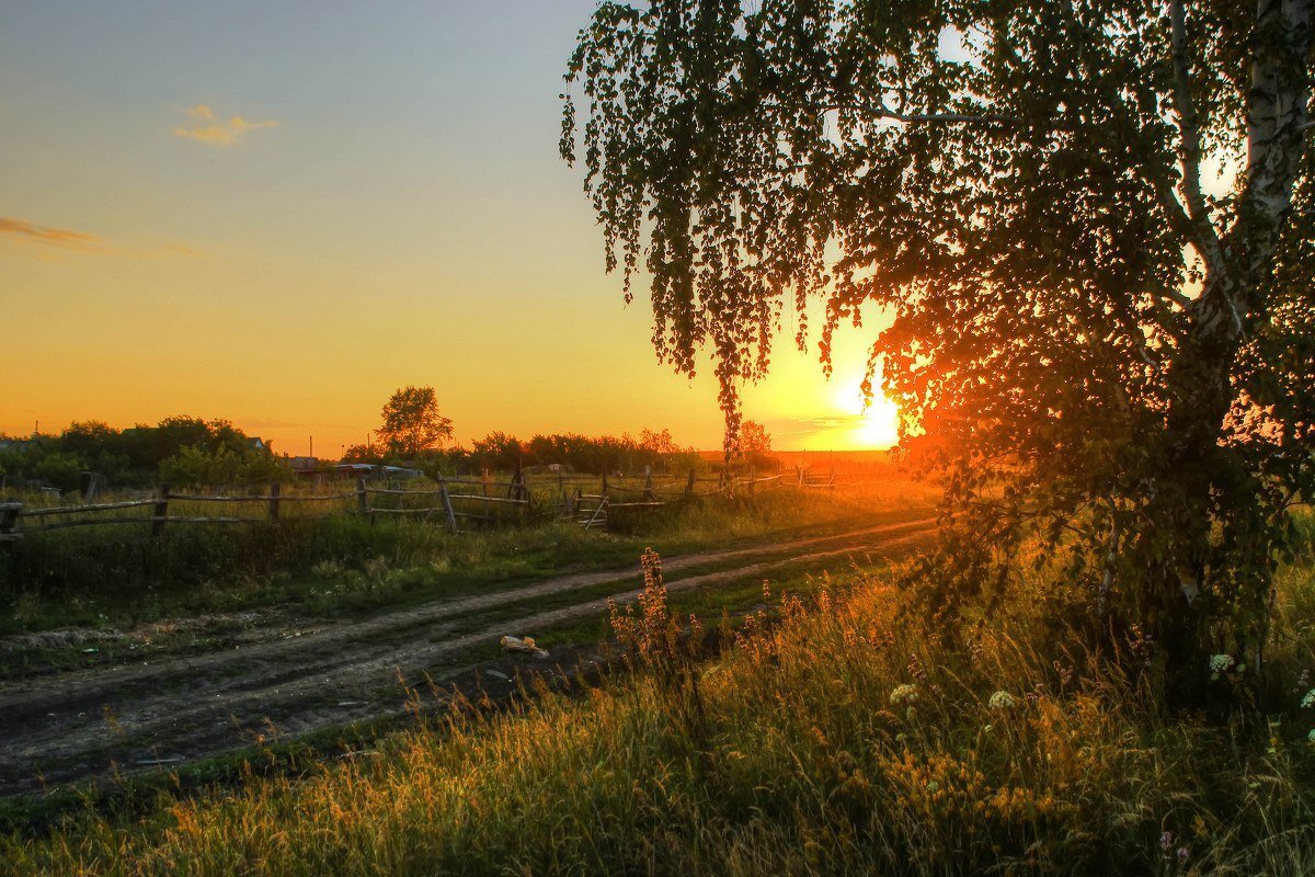 Село света. Закат в деревне. Закат в деревне летом. Красивый закат в деревне. Рассвет в деревне.