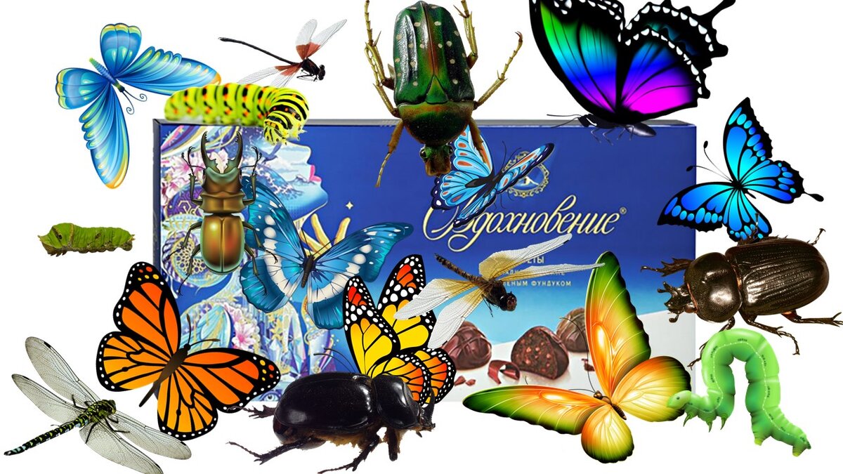 Картинка к статье