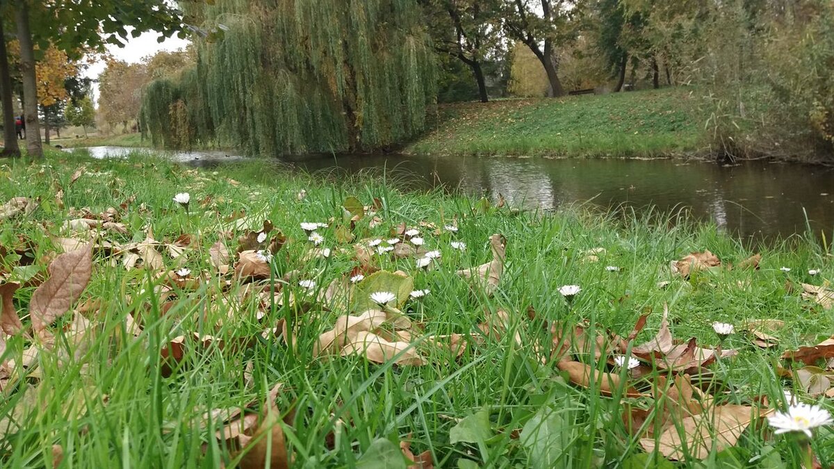 Луцк. Из личного архива автора канала