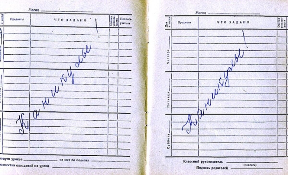 Яндекс картинки