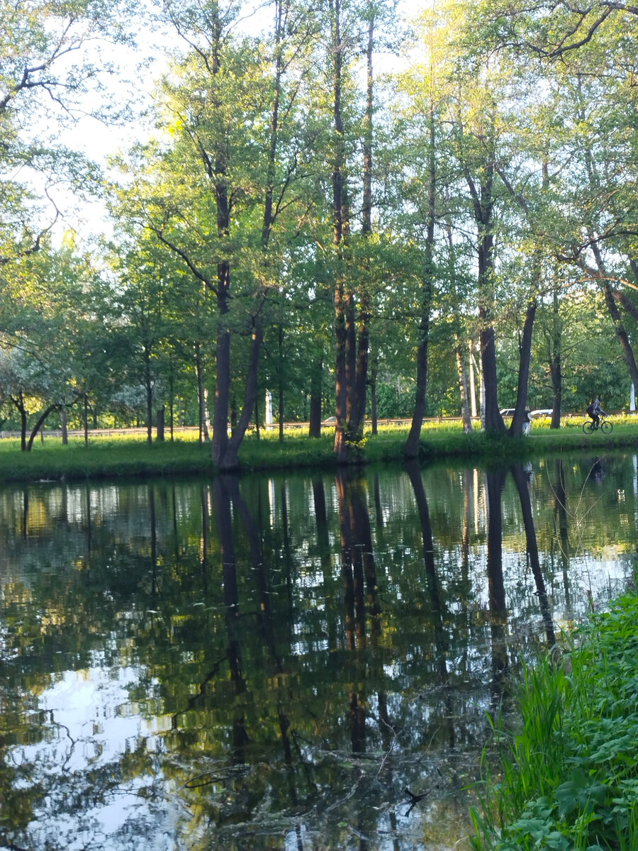 Фото автора 