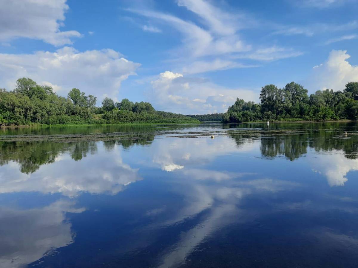 Фото автора.