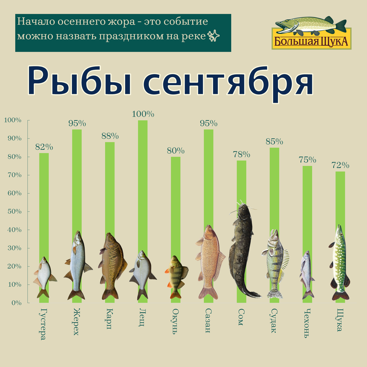 Это максимально точный прогноз клёва для Краснодарского края и республике Адыгея, так как он основан на статистике поисковых запросов интернет-поисковиков за последние семь лет с выборкой именно для этих двух регионов.