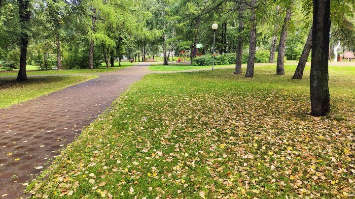 Фото: Царьград