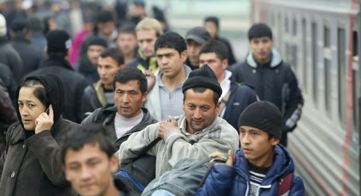 Фото: Яндекс. Картинки