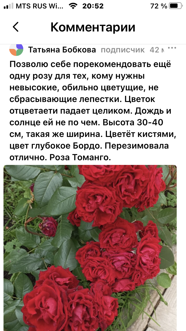 Листайте галерею, 2 фото.