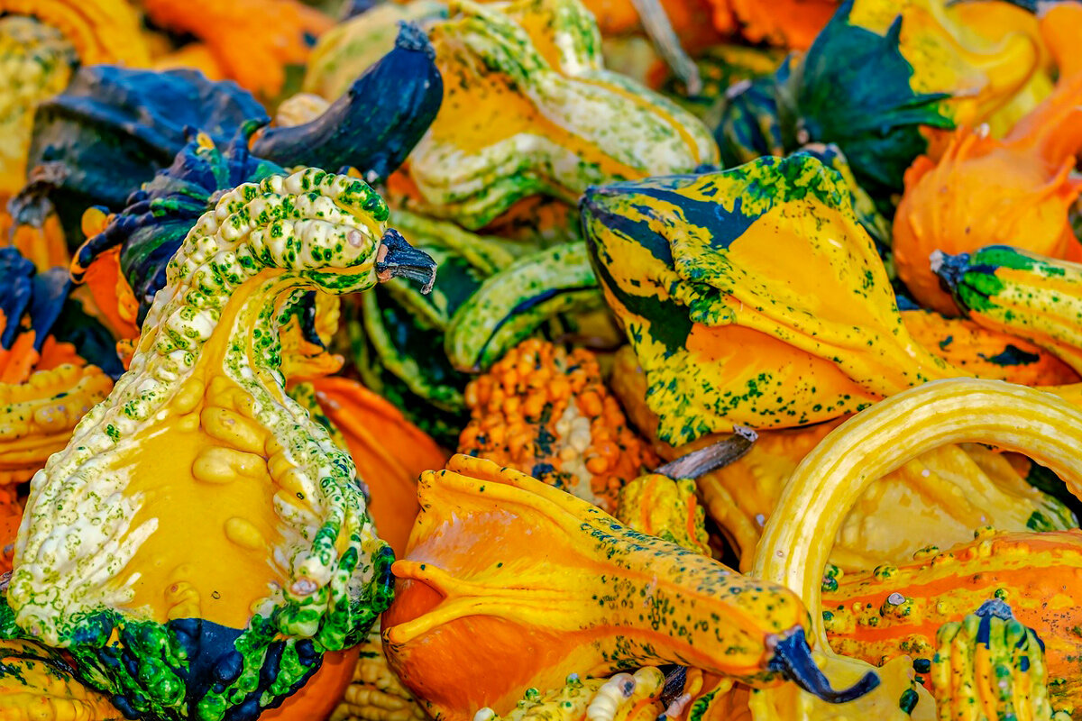    Фото: 1195798 / Pixabay.com