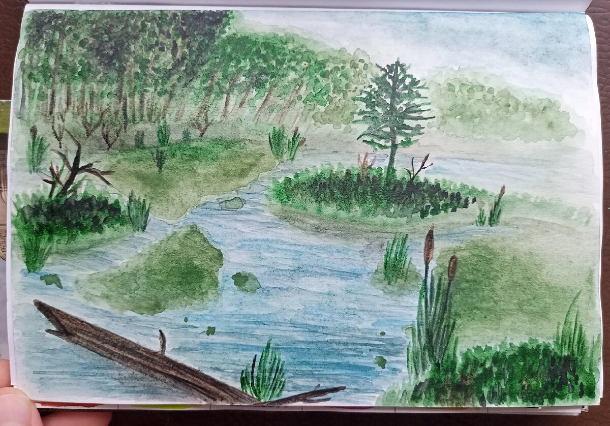 Этап болото. Рисунки леса и болота акварелью.