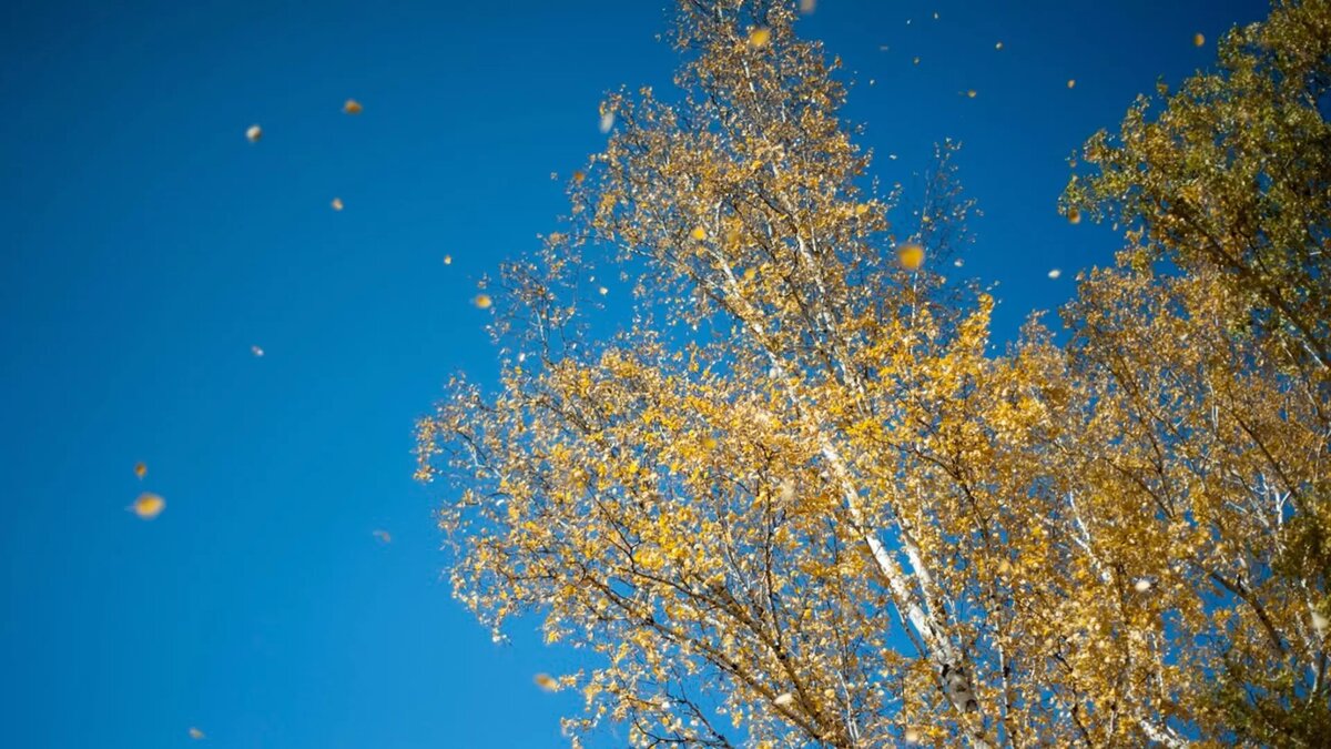     В четверг и пятницу в регионе будет ясная погода, следует из данных ставропольского Гидрометцентра.