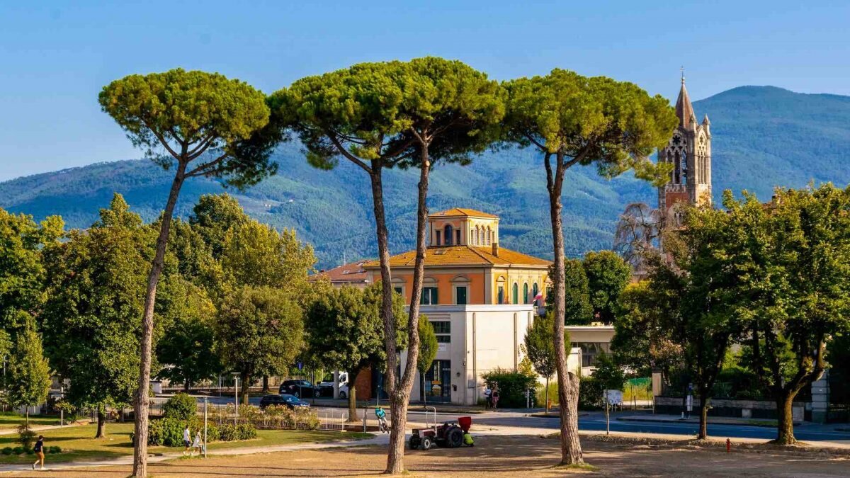    Фото: Unsplash Август Макаров