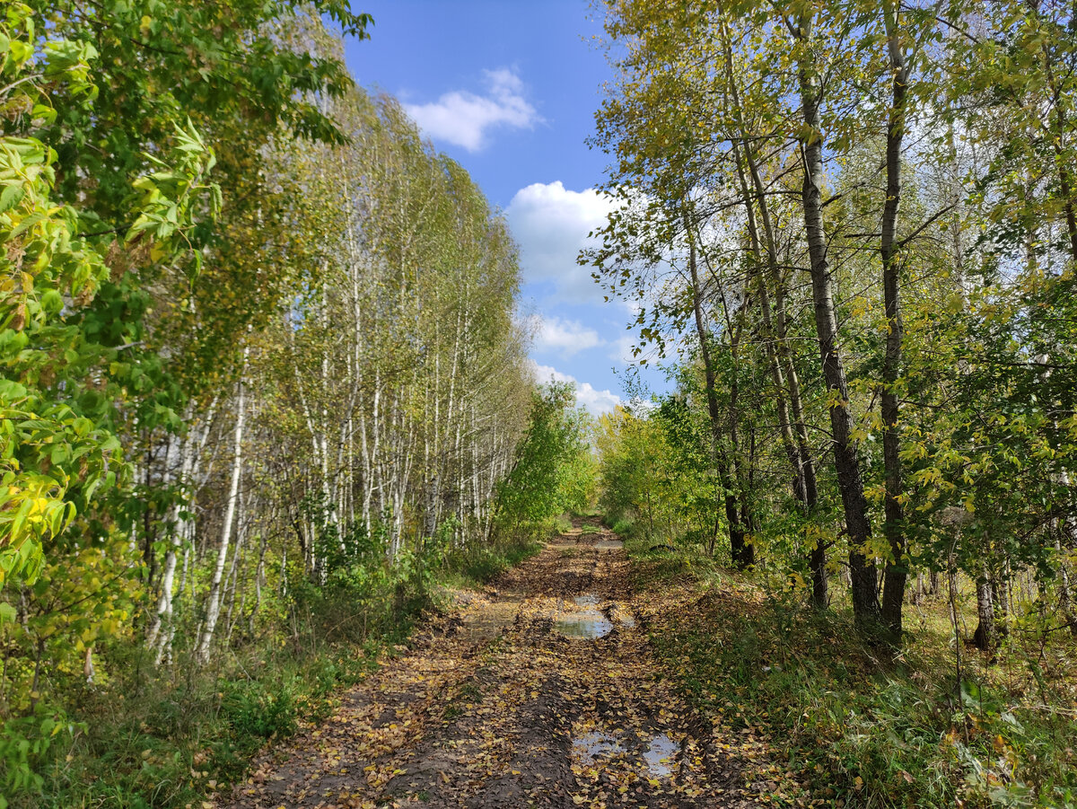 Здесь проходила железная дорога до шахт