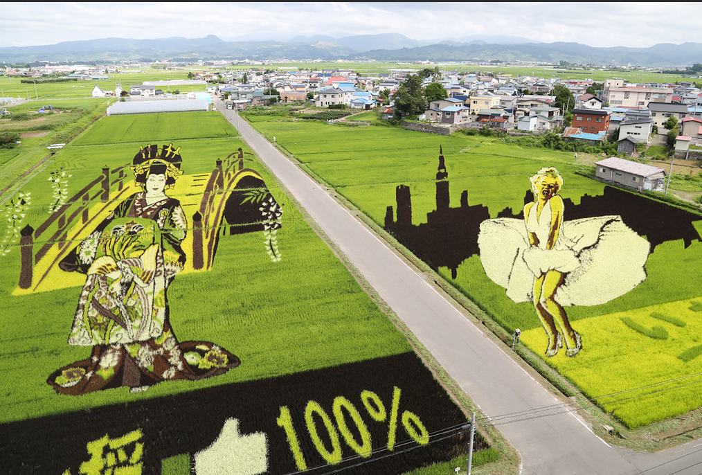 Вот такое вот соседство. Случайное или намеренное? Но все голосуют за японку, как видите)