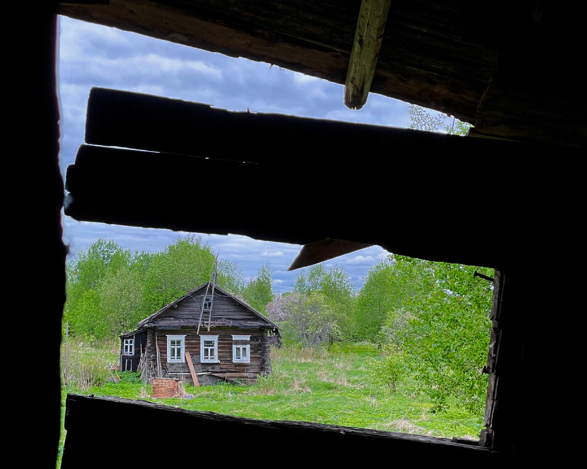 Находки в заброшенной деревне Вологодской области. Необычный лик найденной  иконы. | RESIDEZ | Душа России | Дзен