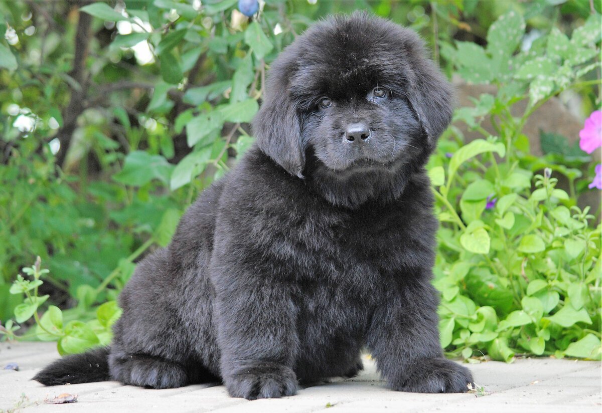 фото из свободного доступа в интернете