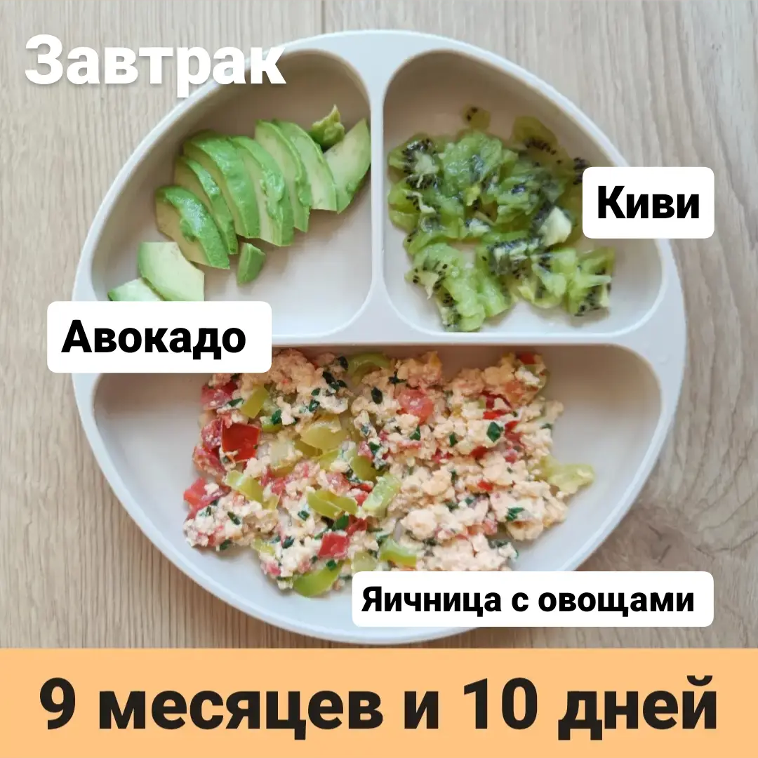 Пример тарелки в 9 месяцев 