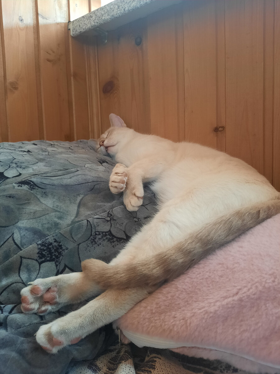 Ну как не сфоткать)?