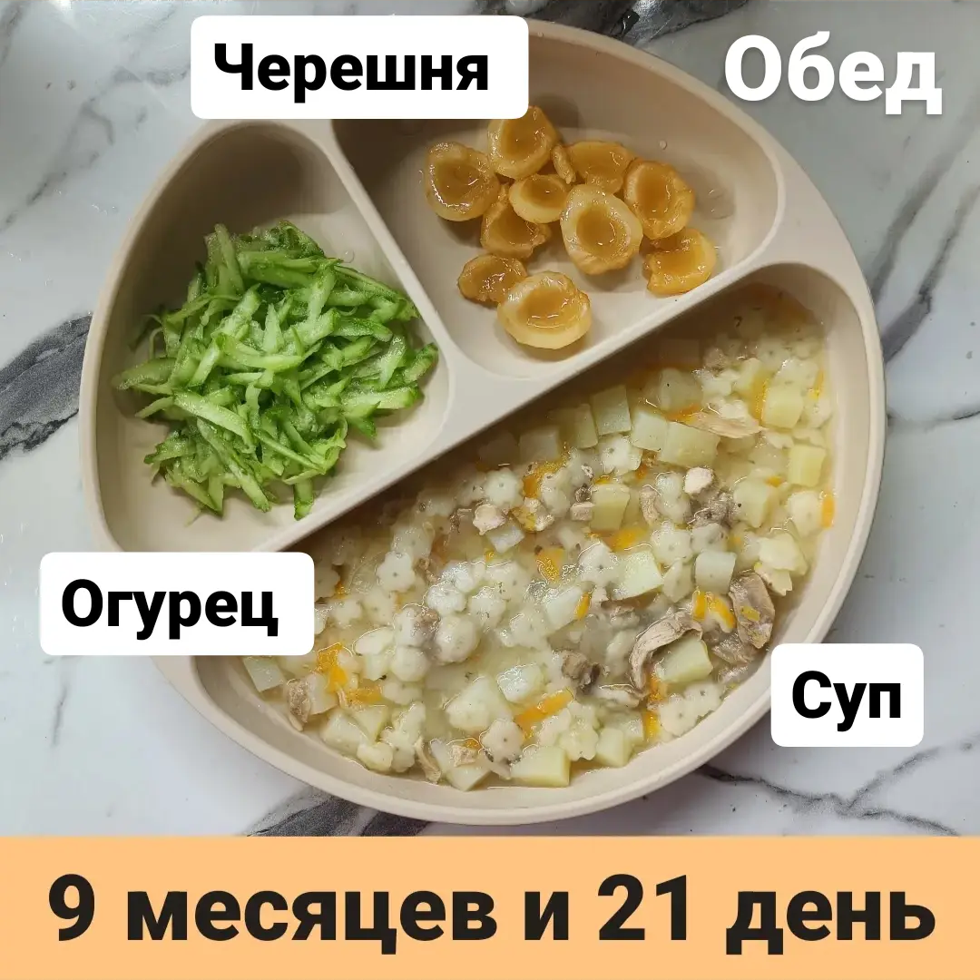 Пример тарелки в 9 месяцев 
