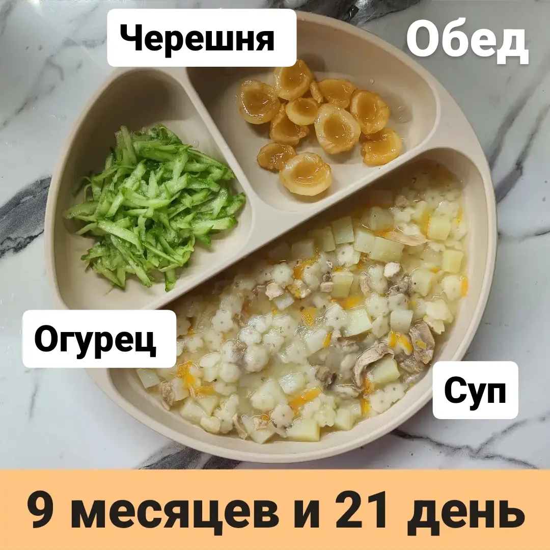 Прикорм. Тарелка 9 месяцев и 21 день. Обед. | В поисках дома ❤️ Вьетнам  🇻🇳 Нячанг | Дзен