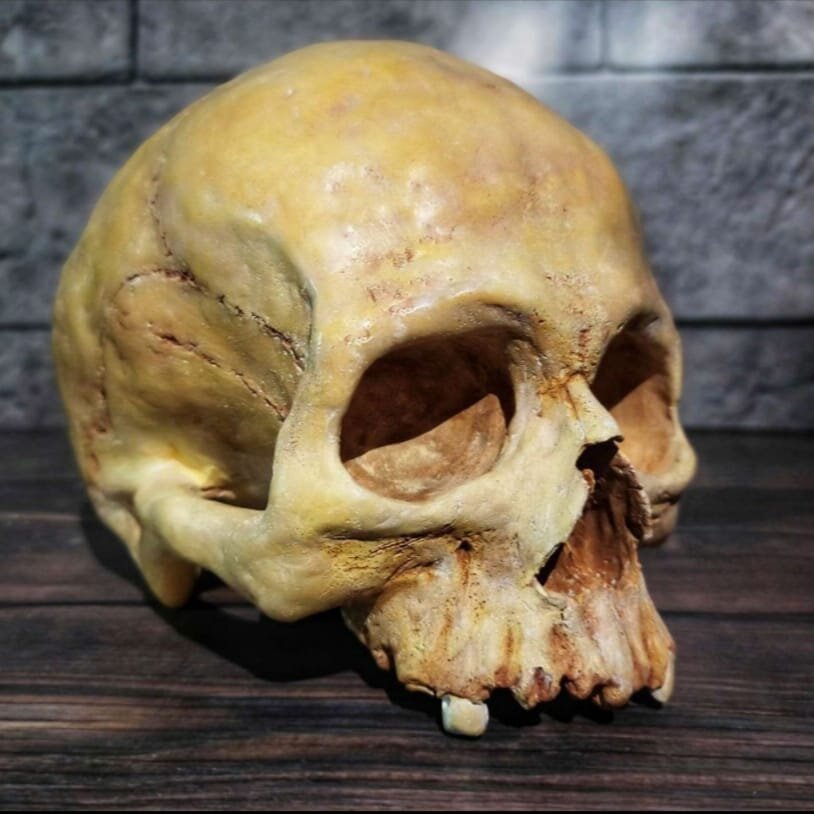 Череп в интерьере