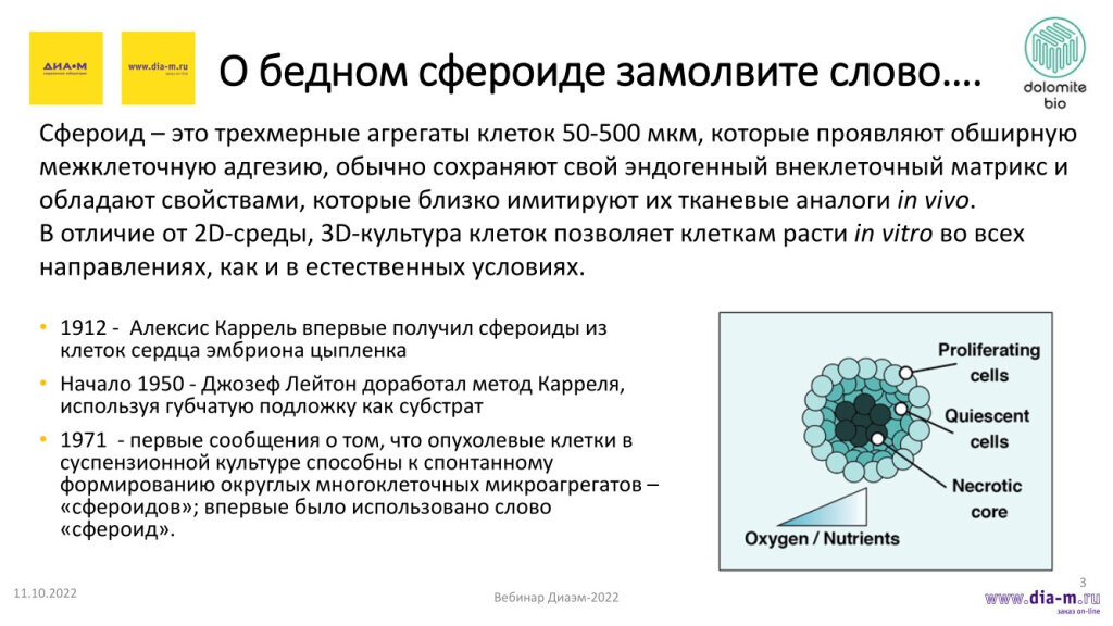 Проект 11 класс биология