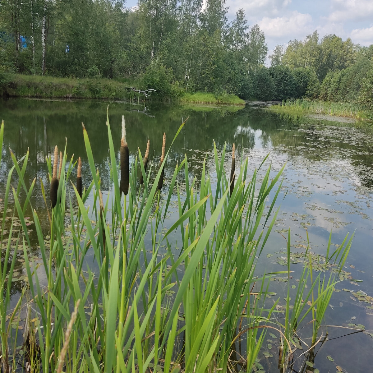 В Тверской области