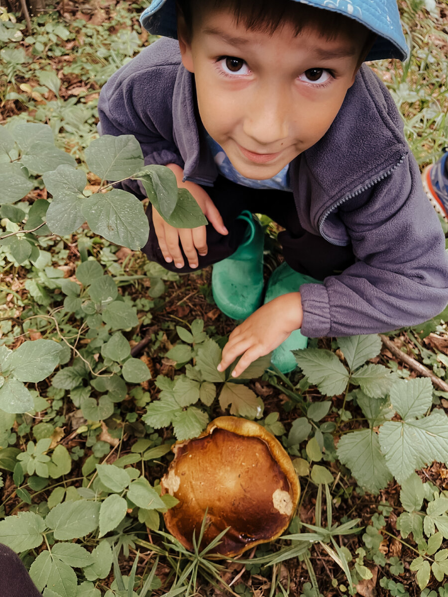 Ване грибы не по душе. 