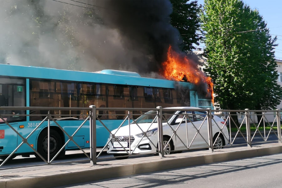 Картинками с автобусами в санкт петербурге