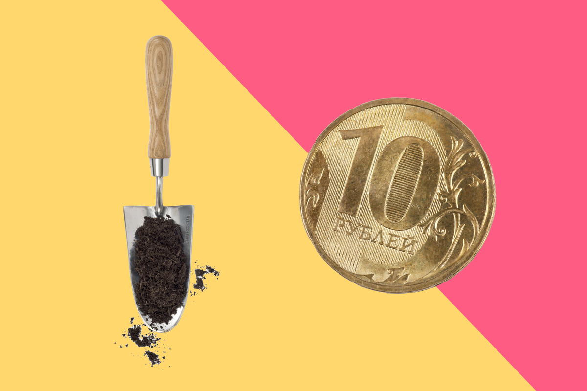     Зачем закапывать в саду монеты ? 5 старых огородных секретов, которыми можно пользоваться всем