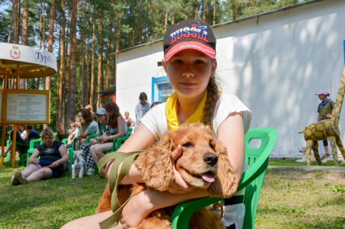    Детский кинологический слет прошел на берегу Горьковского моря