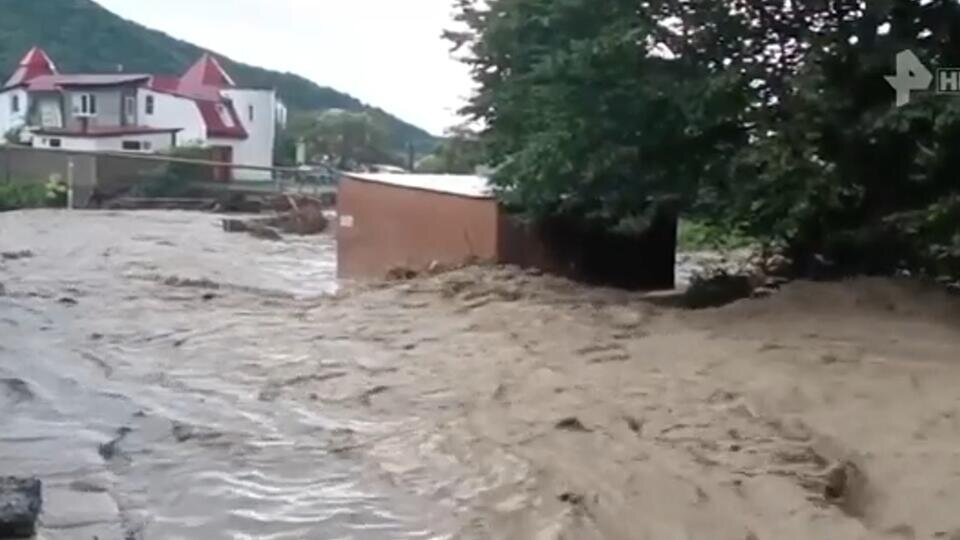 Фото: © Скриншот видео