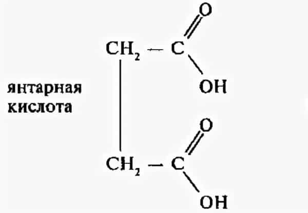 Янтарная кислота презентация