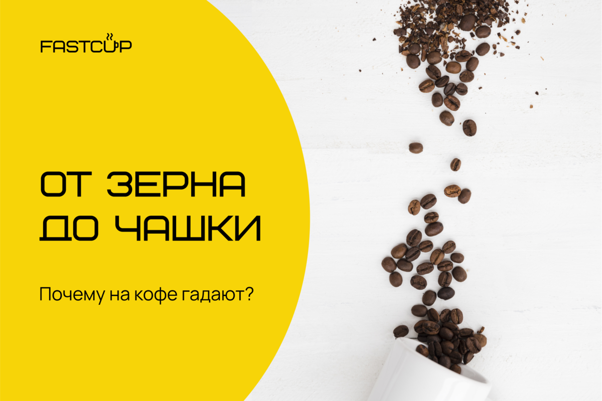 Why cup. Форма "кофейные зерна". Свойства кофейного зерна. Эстонский зерновой кофе. Как выбрать зерновое кофе