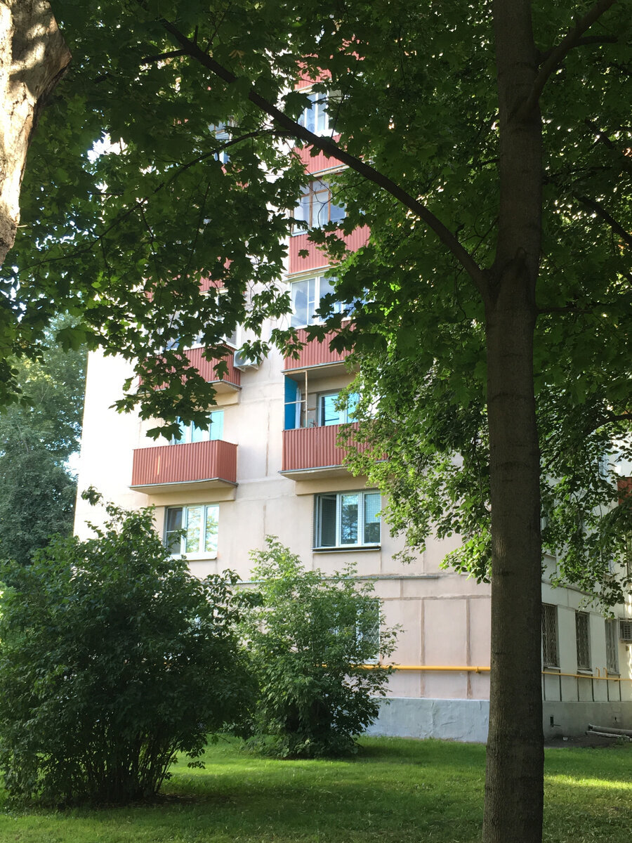 Фото снято автором поста в Москве