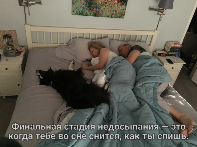 Сон лучшее лекарство картинки прикольные
