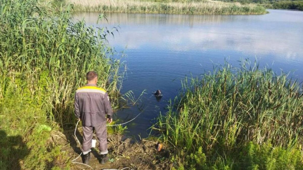 Елшанка Саратов водоём