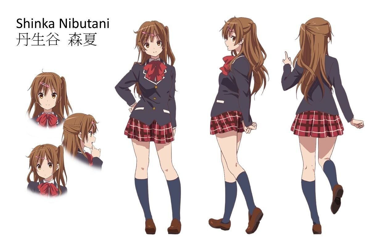 Синка. Shinka Nibutani. Chuunibyou Nibutani. Шинка Нибутани аниме. Шинка Нибутани Shinka Nibutani.