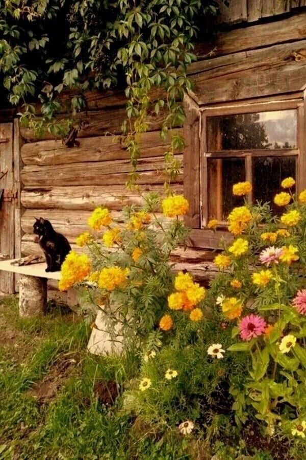 еhttps://ru.pinterest.com/pin/2392606044174532/
