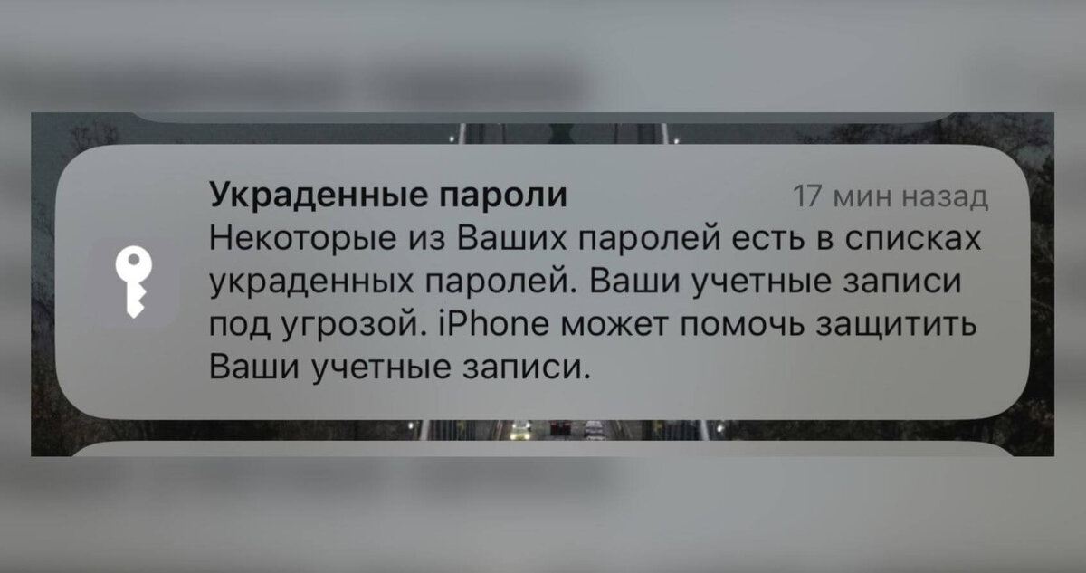    Айфон присылает уведомление об украденном пароле, если обнаружит его в слитых базах данных