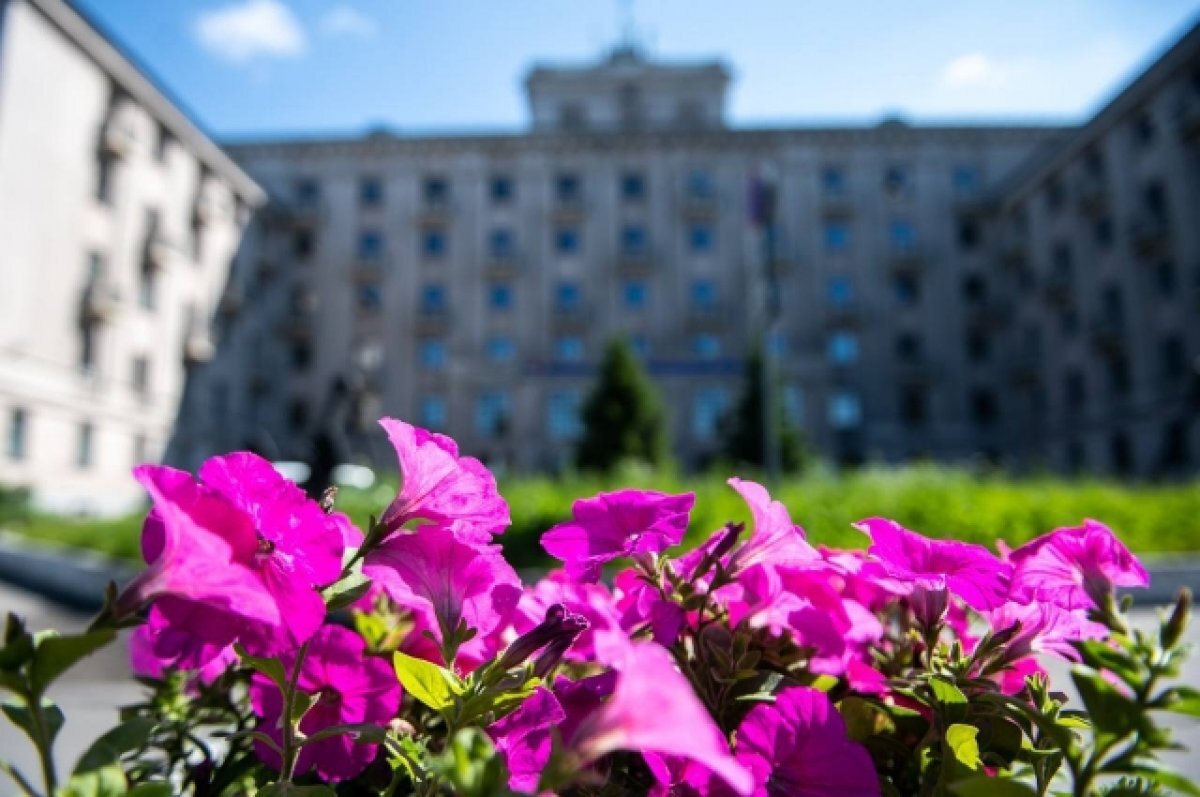    В Мурманске с начала лета высадили 168 тыс. цветов