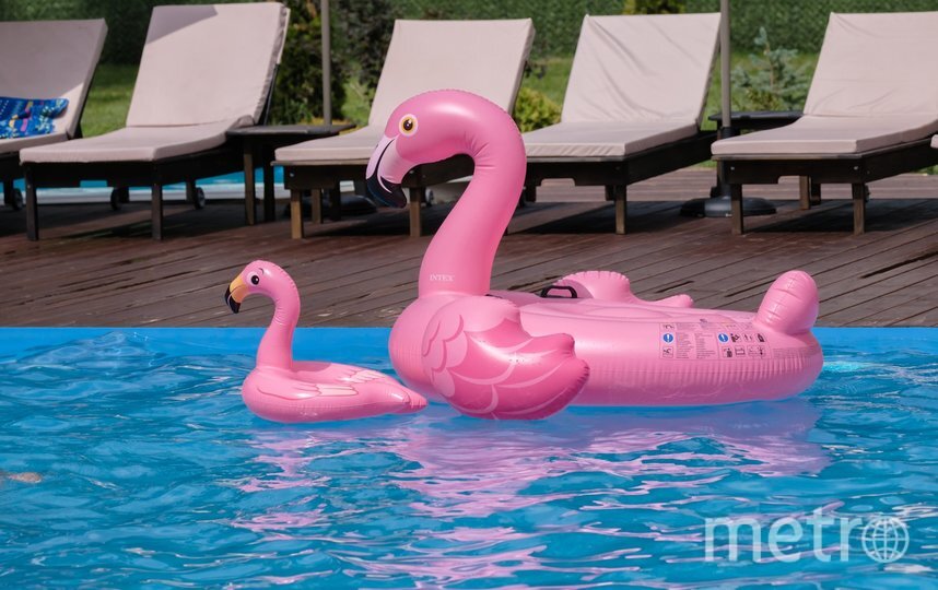    В Петербурге и Ленобласти достаточно мест с открытым бассейном.Алена Бобрович