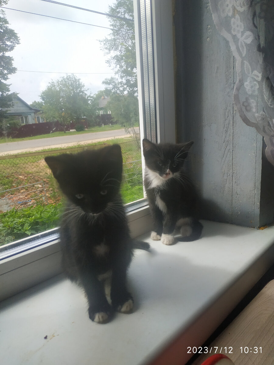 Гера и Мотя