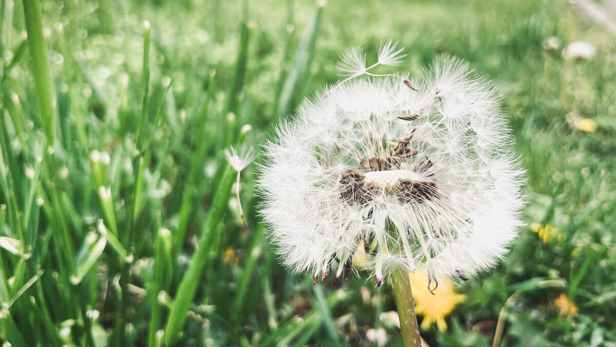     Горожане попросили магов призвать теплое лето в город, пост об этом появилась в местном паблике «ВКонтакте».